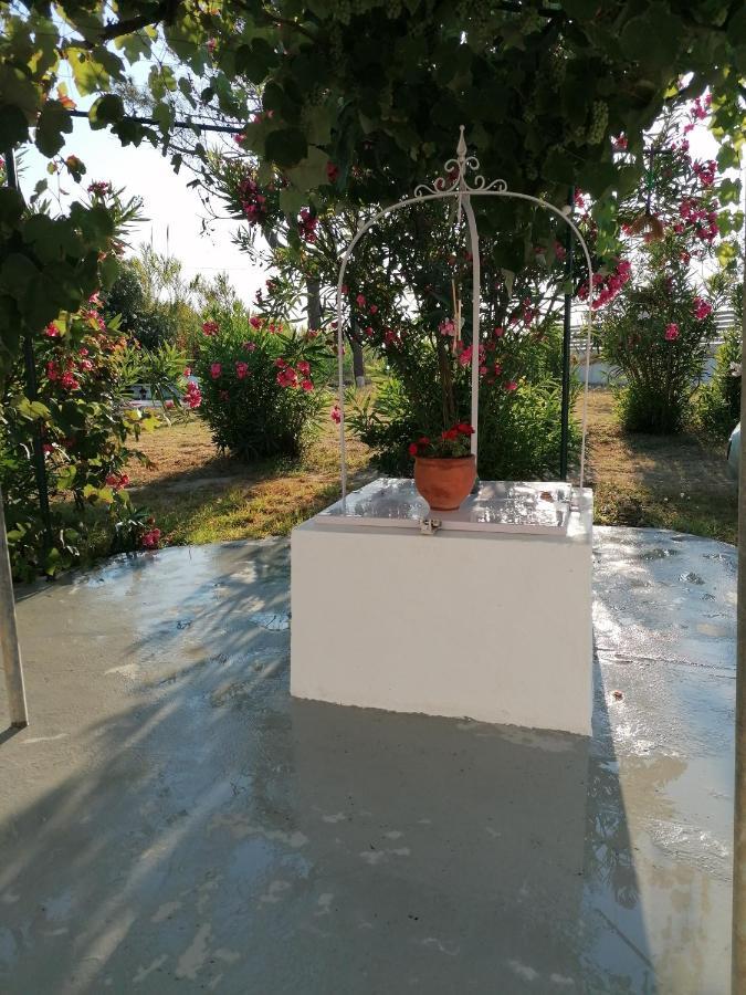 Anastazia's Seaside Apartment Roda (Corfu)